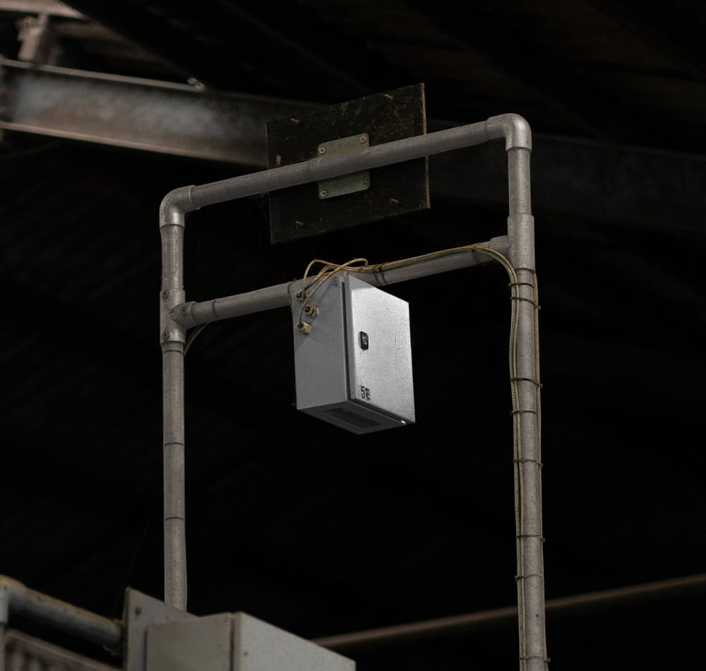 CowFIT camera provides daily objective weight measurements