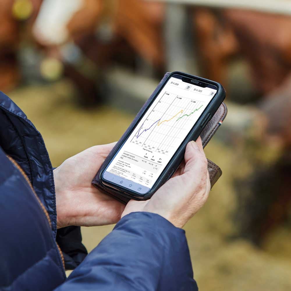 CowFIT continuously tracks weight development