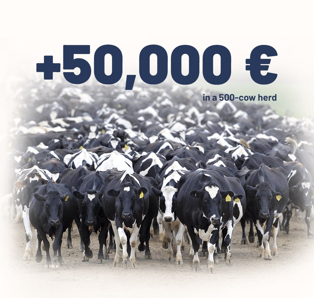 CowFIT delivers approximately 50000 eur in 500 cow herd in added value.