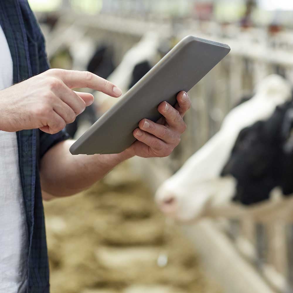 CowFIT provides objective data
