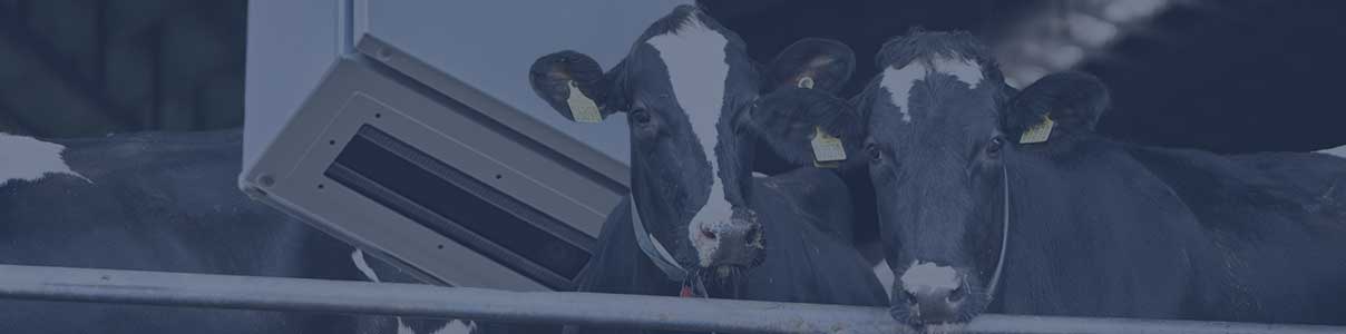 CowFIT gives you deeper understading on how your herd performs