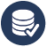 Data icon